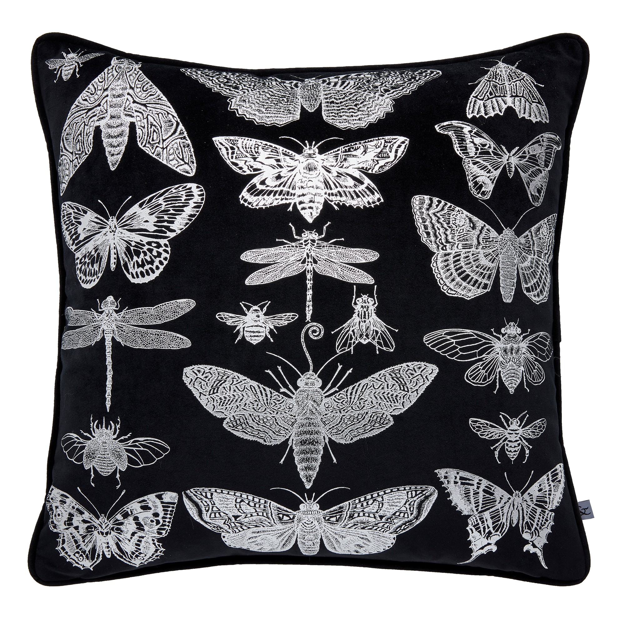 Gothic Bugs Cushion By Graham Brown In Black Silver